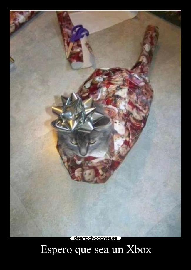 carteles gatos yuregalos desmotivaciones