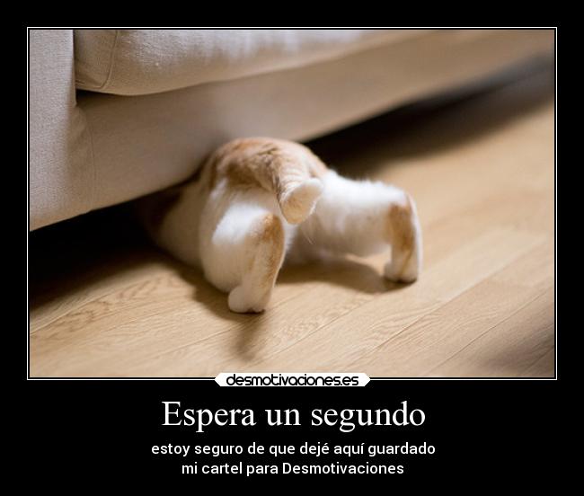 Espera un segundo - estoy seguro de que dejé aquí guardado
mi cartel para Desmotivaciones