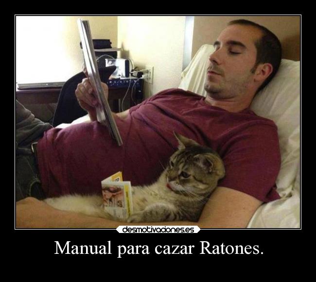 carteles graciosas desmotivaciones