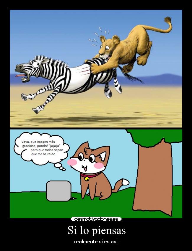Imágenes y Carteles de MIMICAT | Desmotivaciones