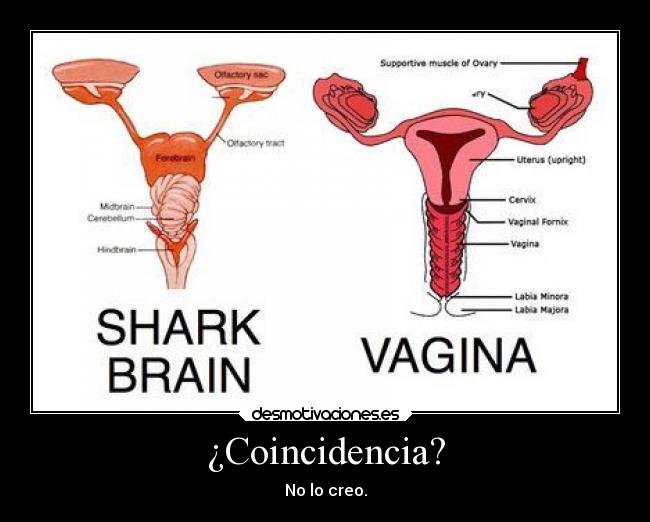 ¿Coincidencia? -