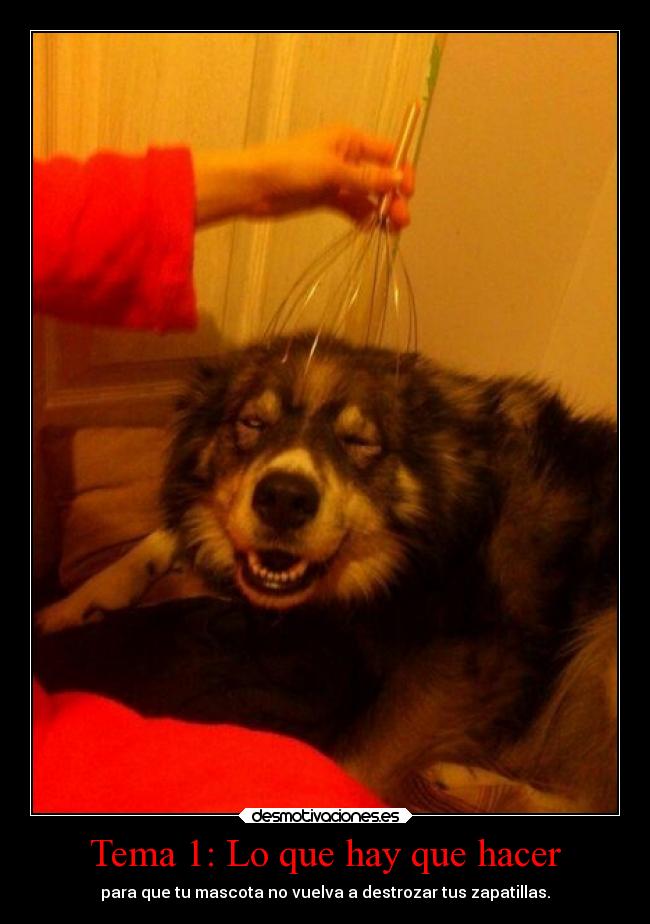 carteles humor bizcobizcobizcobizcobizcobizcobizcobizcobizcobizcobizcobizcobizcobizcobizcocho ejercitodemar desmotivaciones