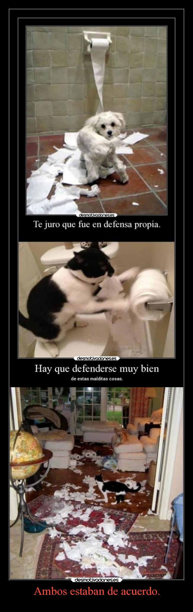 Ambos estaban de acuerdo. - 