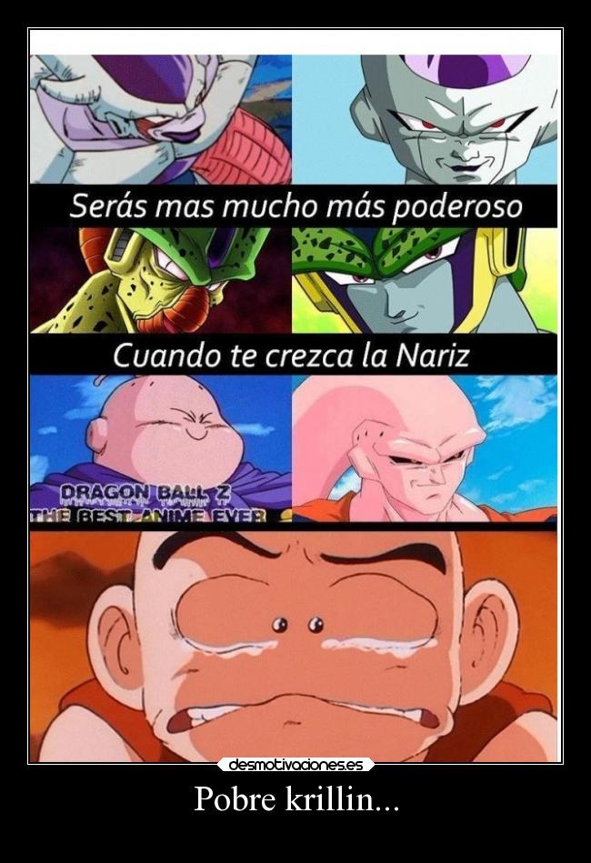 carteles humor dbz krilin chuirayitabaja1912 krillindospuntos madafaca desmotivaciones