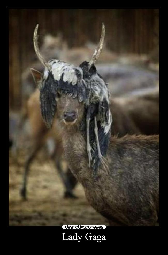 Lady Gaga - 