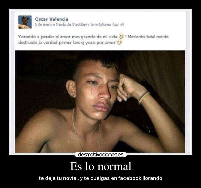 carteles humor fin desmotivaciones