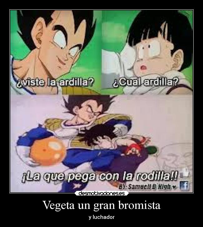 Vegeta un gran bromista -