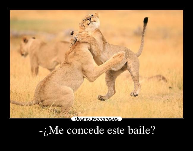 carteles humor losdeliriosdepandora desmofunny meh desmotivaciones