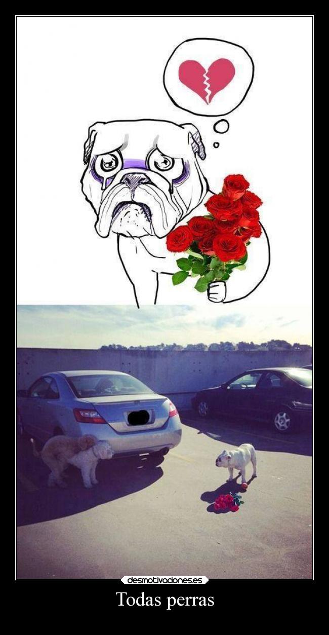 carteles humor menosmallequedaelcojin desmotivaciones