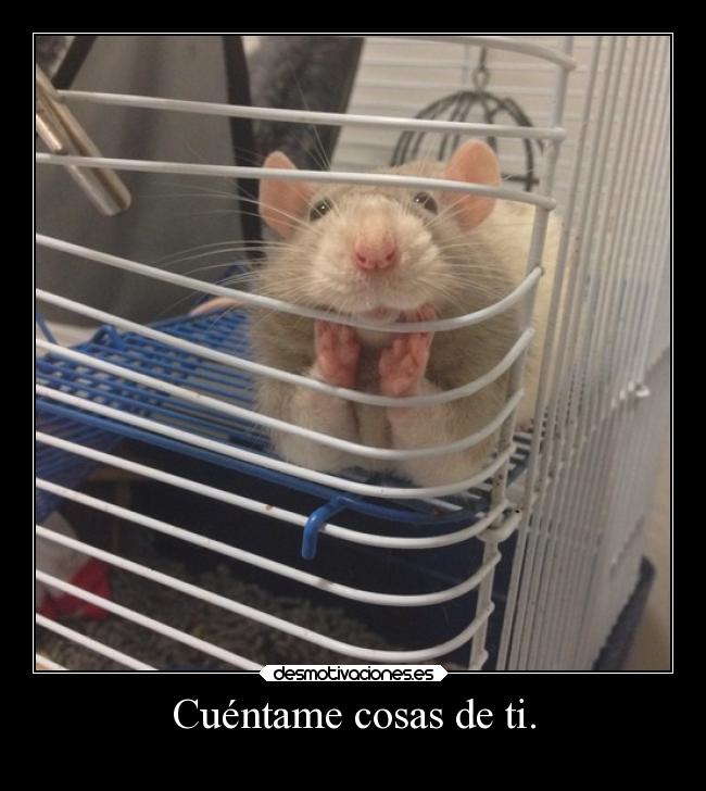 carteles humor rataculia desmotivaciones