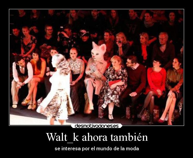 carteles humor waltk desfile moda desmotivaciones