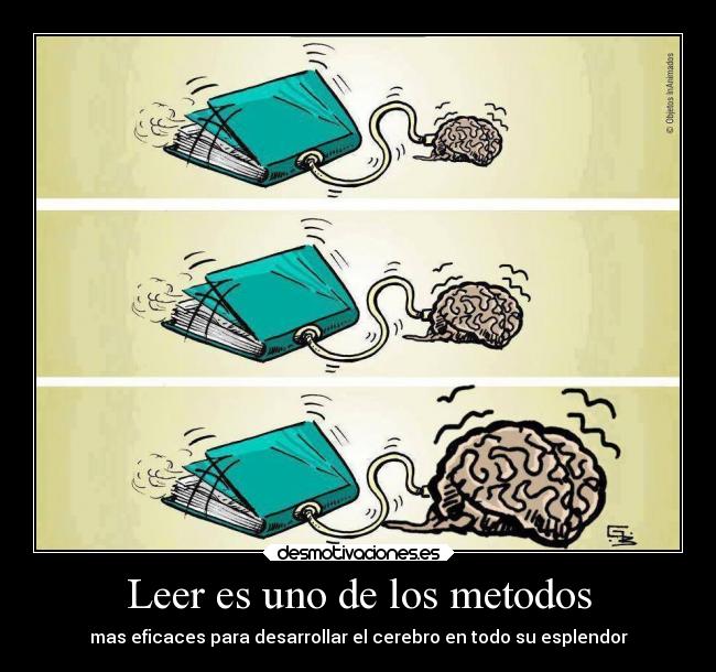 Leer es uno de los metodos - mas eficaces para desarrollar el cerebro en todo su esplendor