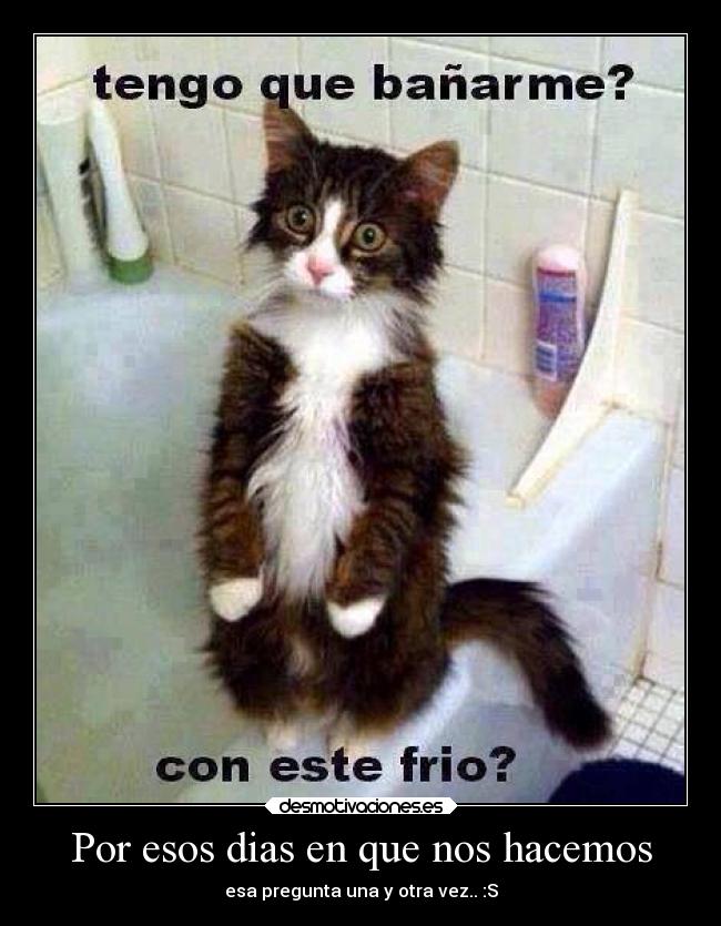 Por esos dias en que nos hacemos - esa pregunta una y otra vez.. :S