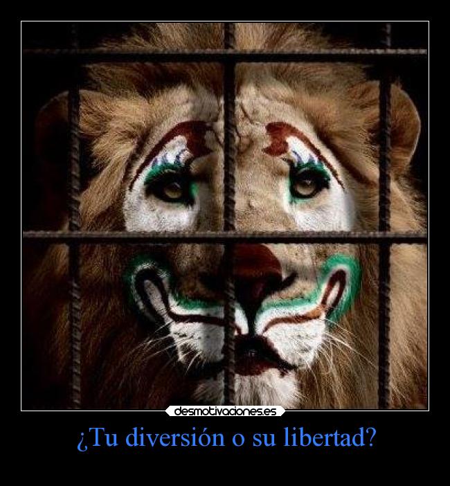 ¿Tu diversión o su libertad? -