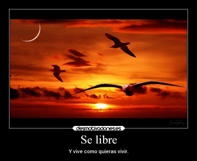 Se libre - 
