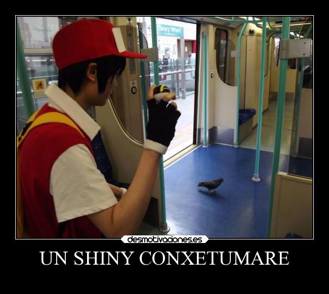 UN SHINY CONXETUMARE -