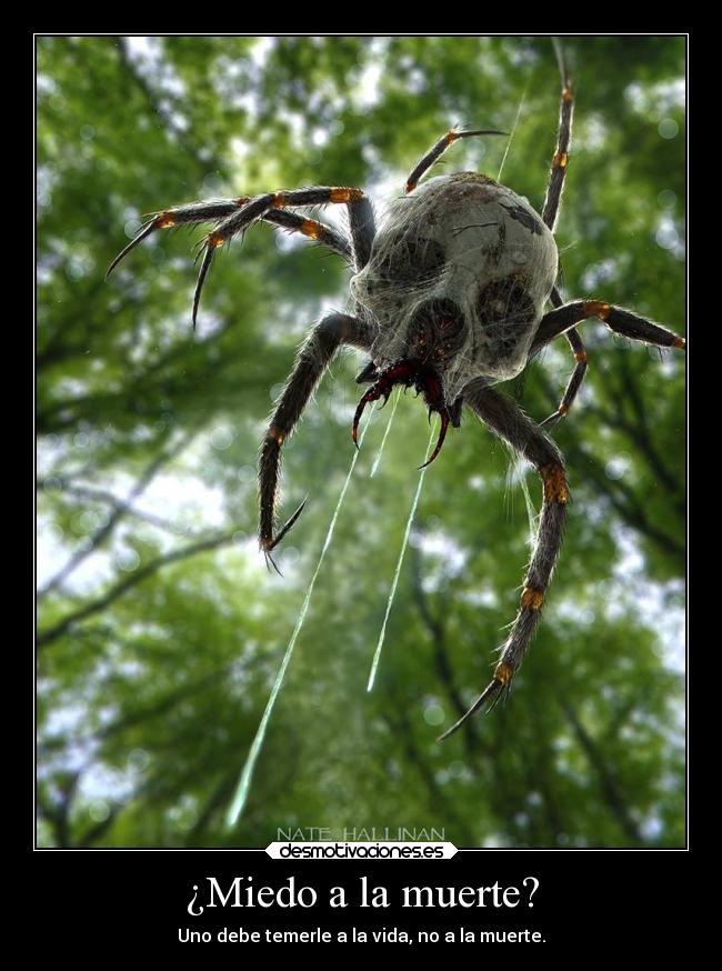 ¿Miedo a la muerte? - 