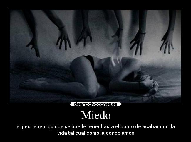 Miedo -