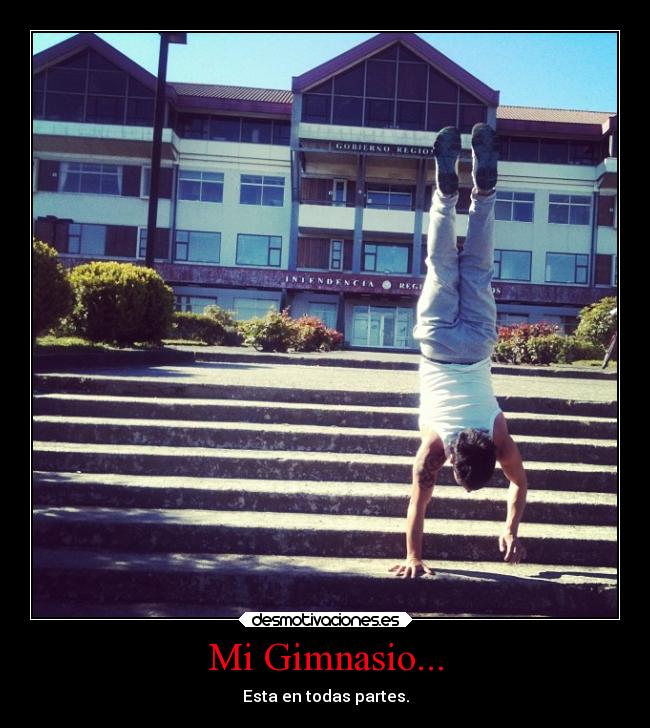 Mi Gimnasio... -