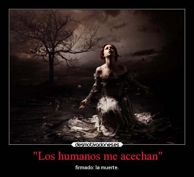 Los humanos me acechan -