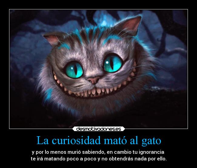 La curiosidad mató al gato -
