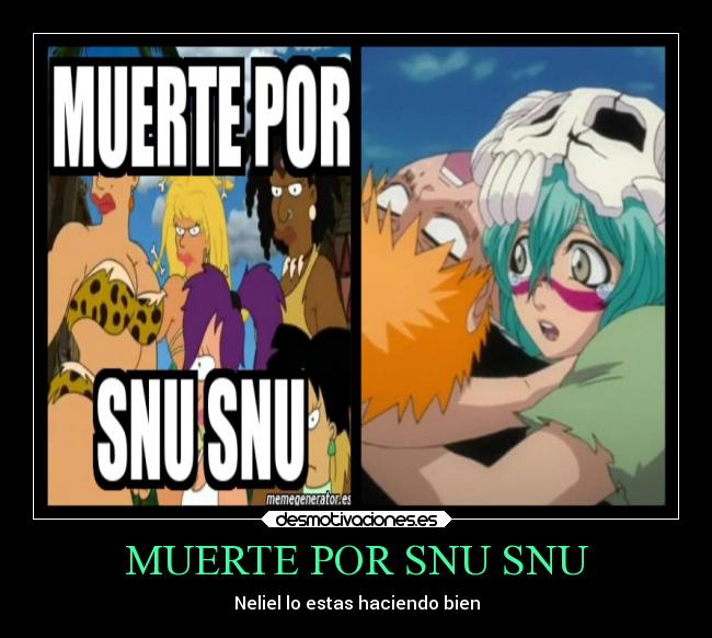 carteles muerte muerte sexo amor bleach futurama snu neliel oderschvank ichigo kurosaki amazonas abrazo desmotivaciones