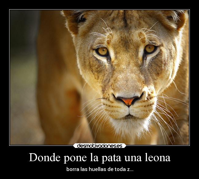 Donde pone la pata una leona - borra las huellas de toda z...