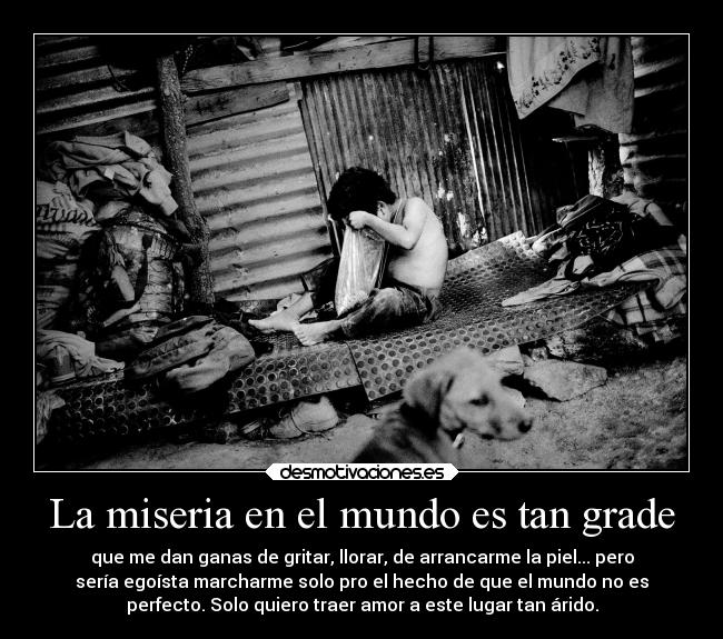 La miseria en el mundo es tan grade - que me dan ganas de gritar, llorar, de arrancarme la piel... pero
sería egoísta marcharme solo pro el hecho de que el mundo no es
perfecto. Solo quiero traer amor a este lugar tan árido.