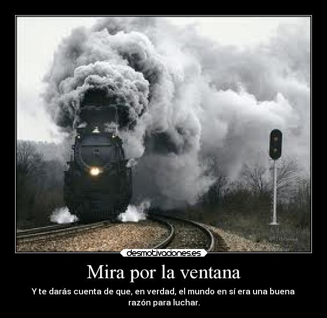Mira por la ventana - Y te darás cuenta de que, en verdad, el mundo en sí era una buena
razón para luchar.