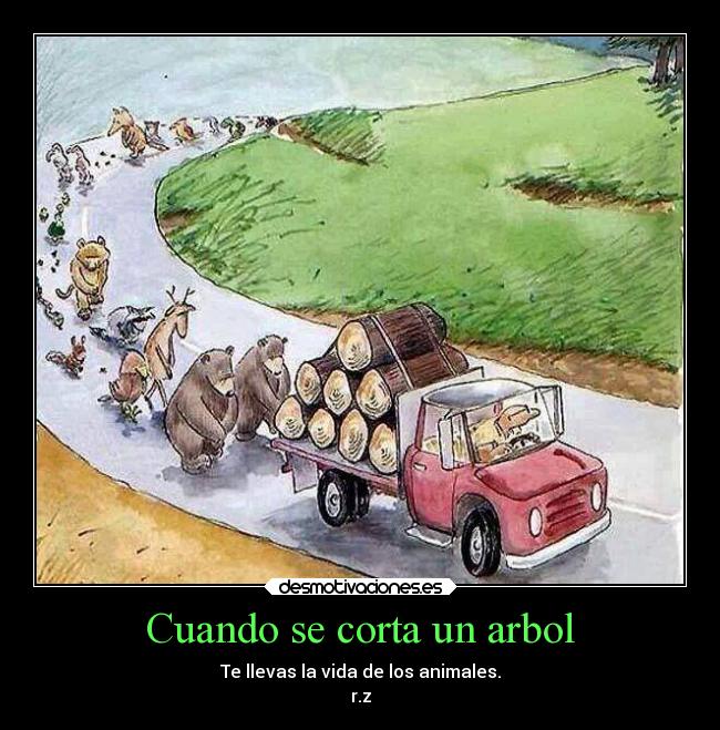 Cuando se corta un arbol - Te llevas la vida de los animales.
r.z