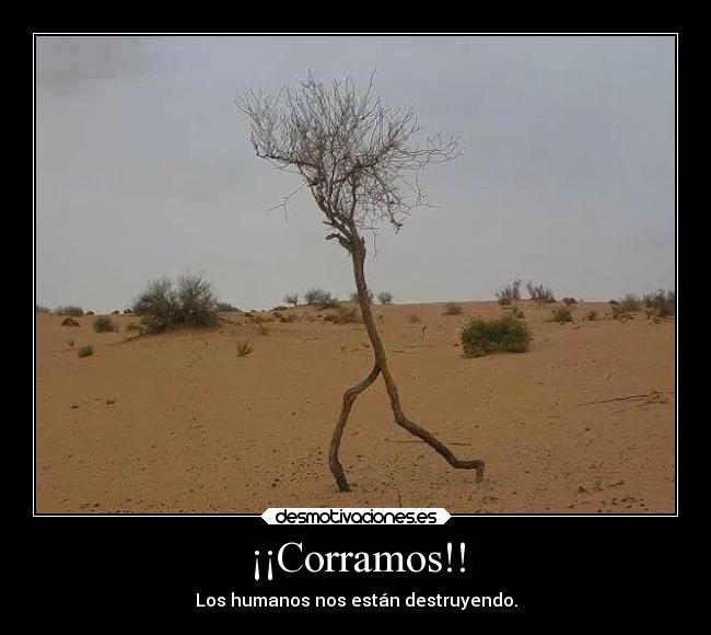 ¡¡Corramos!! - Los humanos nos están destruyendo.