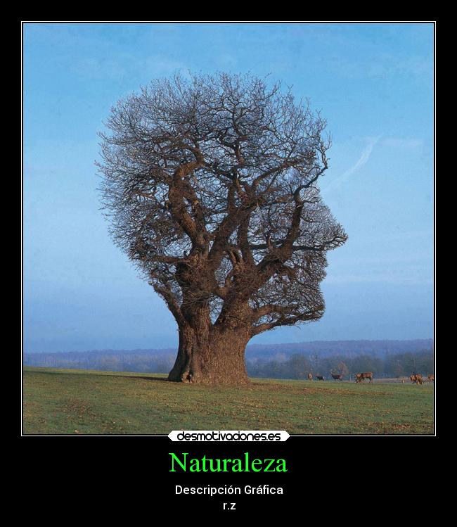 Naturaleza - Descripción Gráfica
r.z