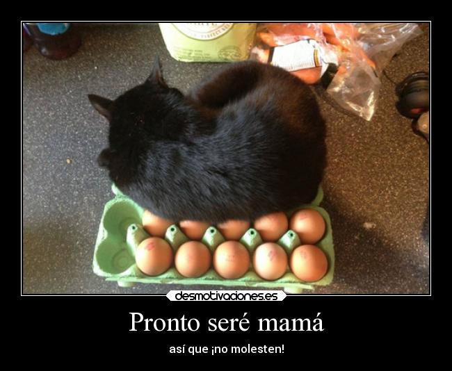 Pronto seré mamá - así que ¡no molesten!