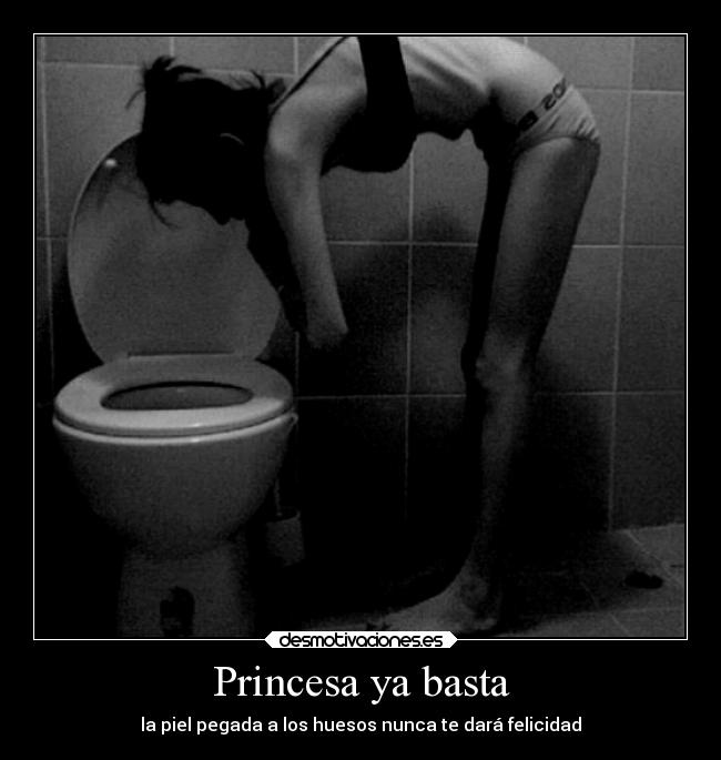 carteles promesas princesas desmotivaciones