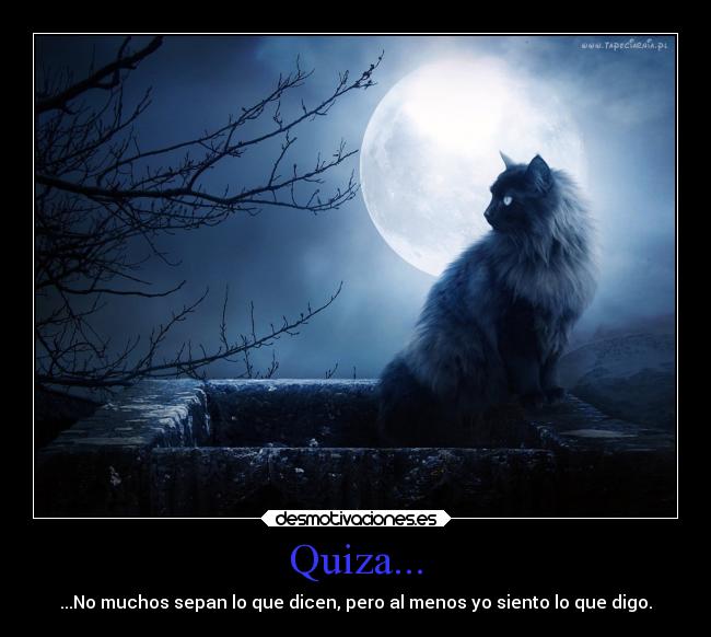 Quiza... - ...No muchos sepan lo que dicen, pero al menos yo siento lo que digo.