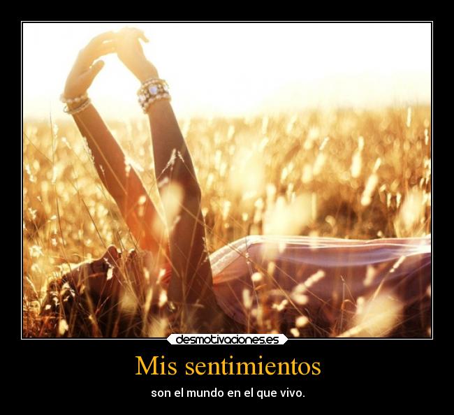 Mis sentimientos - 