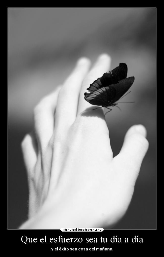 Que el esfuerzo sea tu día a día - y el éxito sea cosa del mañana.