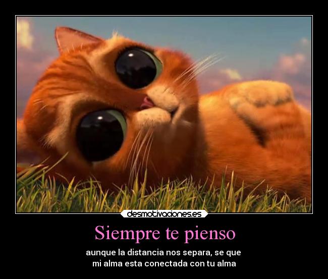 Siempre te pienso - aunque la distancia nos separa, se que 
mi alma esta conectada con tu alma