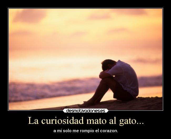 La curiosidad mato al gato... - a mi solo me rompio el corazon.