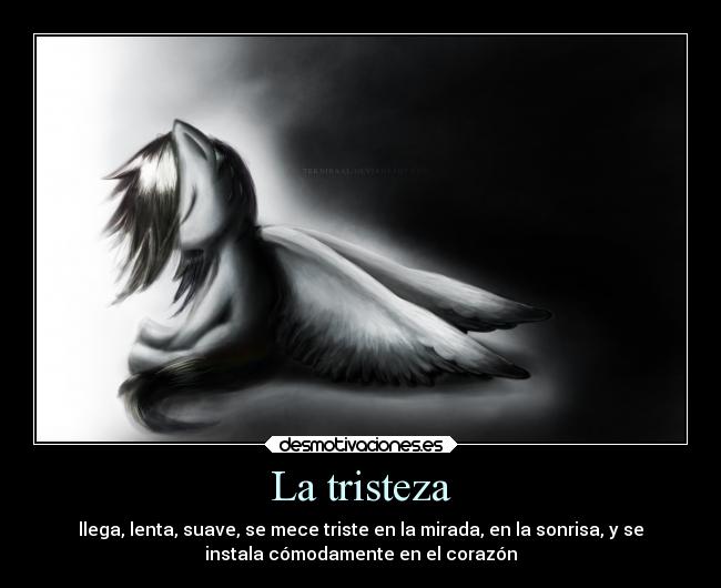 La tristeza - llega, lenta, suave, se mece triste en la mirada, en la sonrisa, y se
instala cómodamente en el corazón