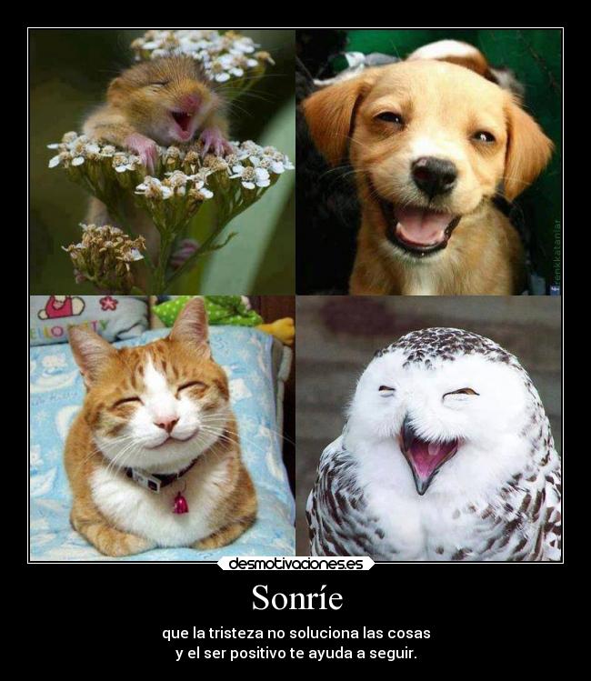 Sonríe - que la tristeza no soluciona las cosas
y el ser positivo te ayuda a seguir.