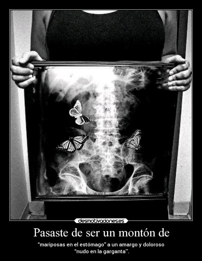 Pasaste de ser un montón de - “mariposas en el estómago” a un amargo y doloroso
“nudo en la garganta.