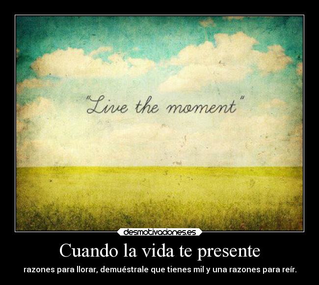 carteles vida vida alegria desmotivaciones