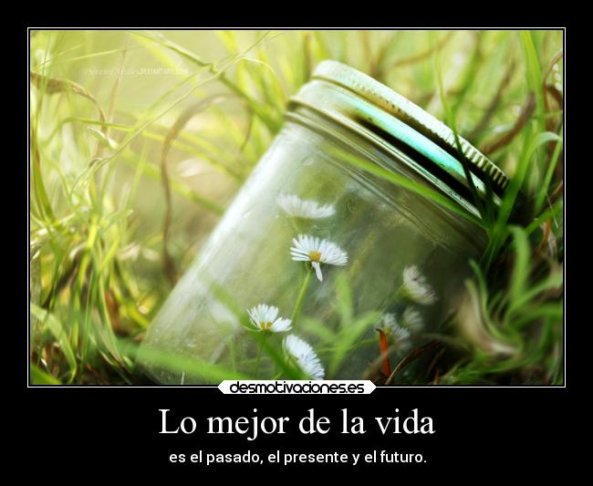 Lo mejor de la vida -