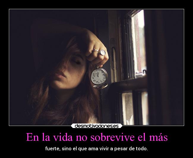 carteles vida vida amor xappaa desmotivaciones