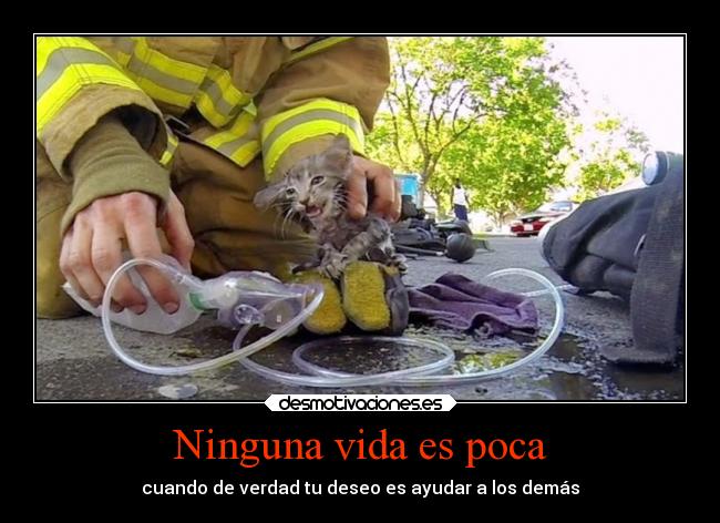 Ninguna vida es poca - cuando de verdad tu deseo es ayudar a los demás