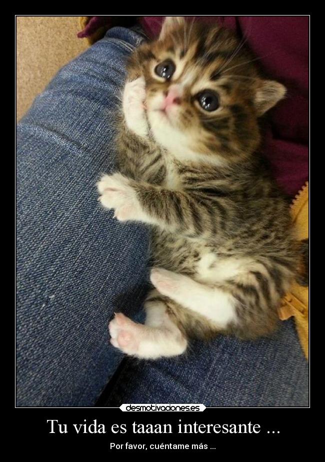 Tu vida es taaan interesante ... - Por favor, cuéntame más ...