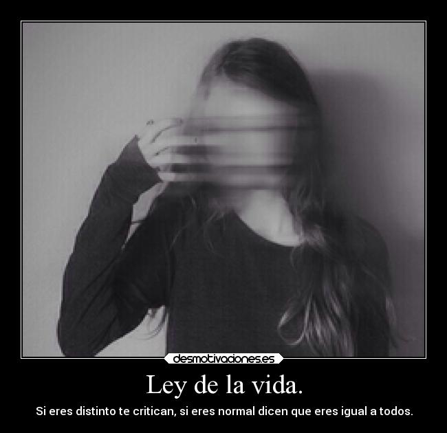 carteles vida confianza desmotivaciones