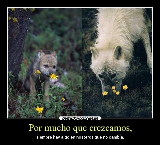 Por mucho que crezcamos, -