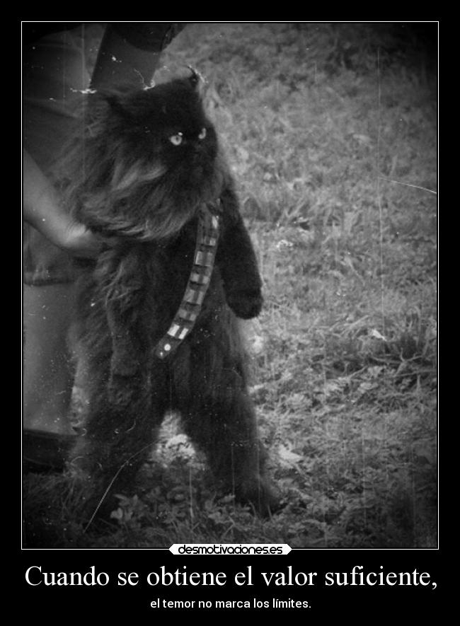 carteles vida deseos gato personas con valor jesshellscythe desmotivaciones